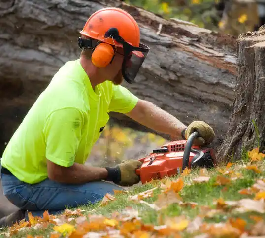 tree services Middleborough Center